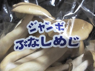 001_110228G_4361.jpg