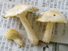 007_060923N0338.jpg