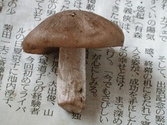 008_060923N0341.jpg