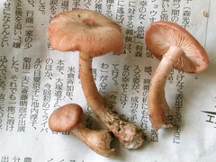 010_060923N0330.jpg