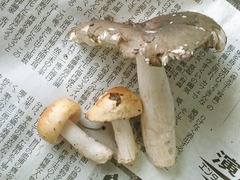 016_060923N0335.jpg