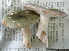 017_060923N0332.jpg