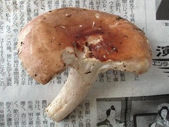 018_060923N0355.jpg