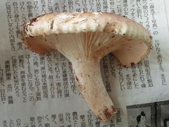 019_060923N0356.jpg