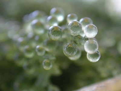 020115N5916.jpg