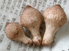 023_060923N03420103.jpg