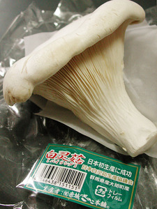 030611pairin01.jpg