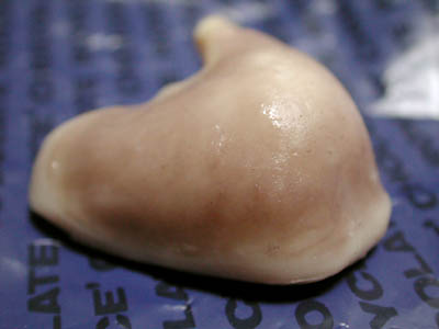 0410onibisi03.jpg