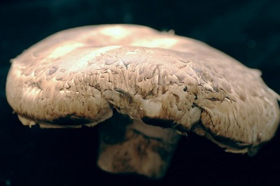 071126D7_4770.jpg