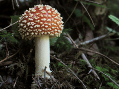 20050925083449.jpg