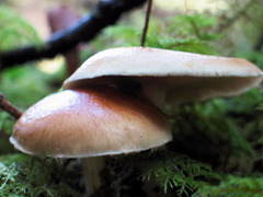20050925083531.jpg