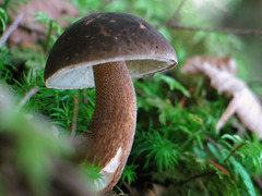 20050925083606.jpg