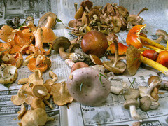 20050925102548.jpg
