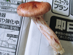 20050925105731.jpg