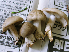 20050925105807.jpg