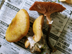 20050925105900.jpg