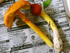 20050925105937.jpg
