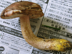 20050925110057.jpg