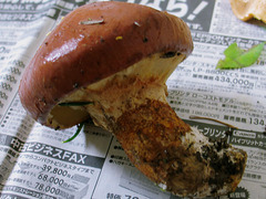 20050925110134.jpg