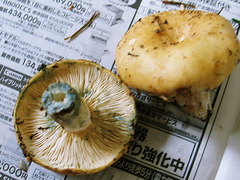 20050925110259.jpg