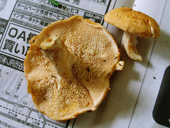 20050925110603.jpg