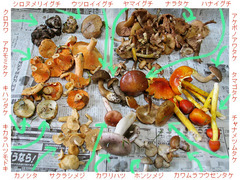 20050925110736.jpg