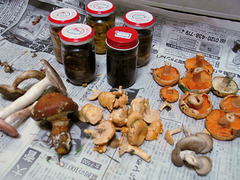 20050925164440.jpg